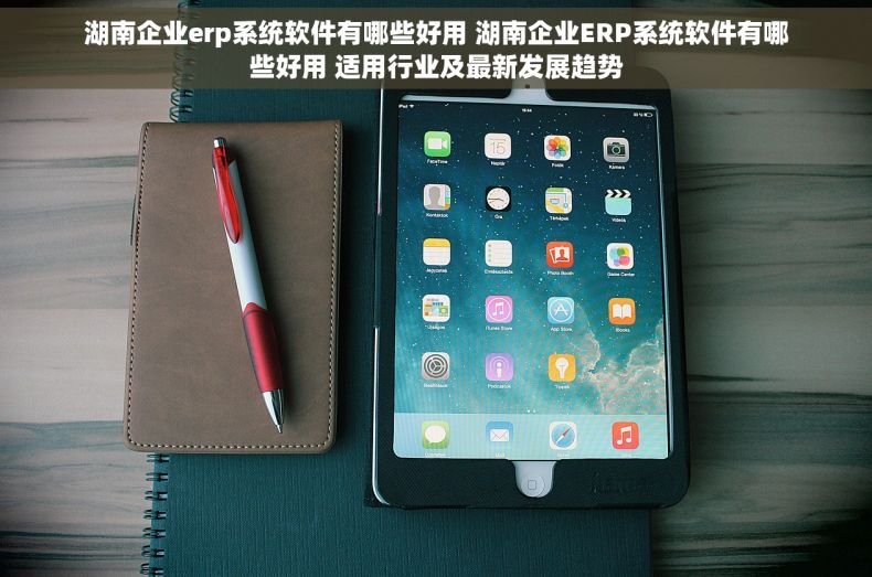 湖南企业erp系统软件有哪些好用 湖南企业ERP系统软件有哪些好用 适用行业及最新发展趋势