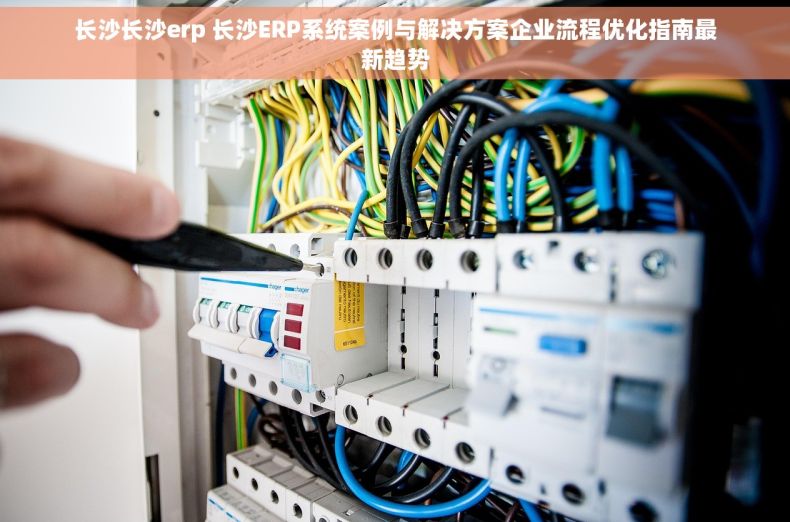 长沙长沙erp 长沙ERP系统案例与解决方案企业流程优化指南最新趋势