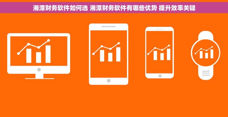 湘潭财务软件如何选 湘潭财务软件有哪些优势 提升效率关键