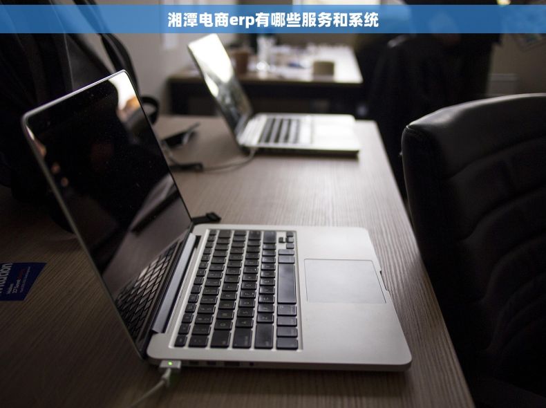 湘潭电商erp有哪些服务和系统