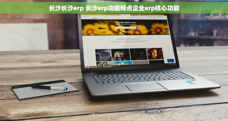 长沙长沙erp 长沙erp功能特点企业erp核心功能