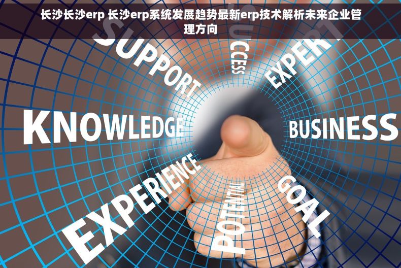 长沙长沙erp 长沙erp系统发展趋势最新erp技术解析未来企业管理方向