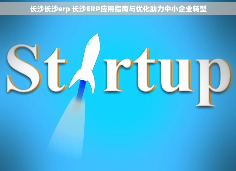 长沙长沙erp 长沙ERP应用指南与优化助力中小企业转型