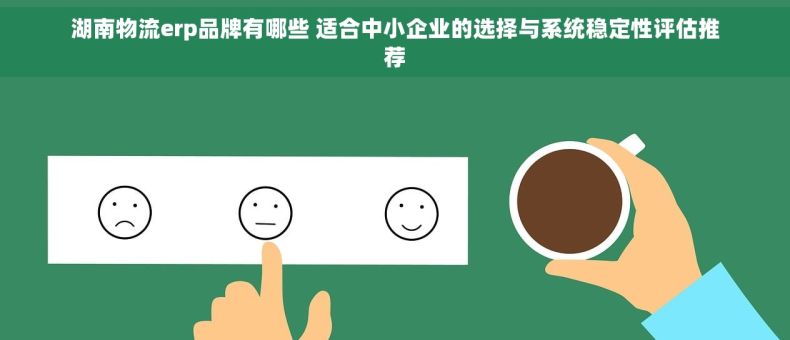 湖南物流erp品牌有哪些 适合中小企业的选择与系统稳定性评估推荐