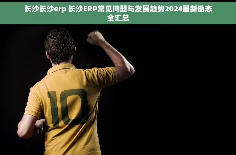 长沙长沙erp 长沙ERP常见问题与发展趋势2024最新动态全汇总