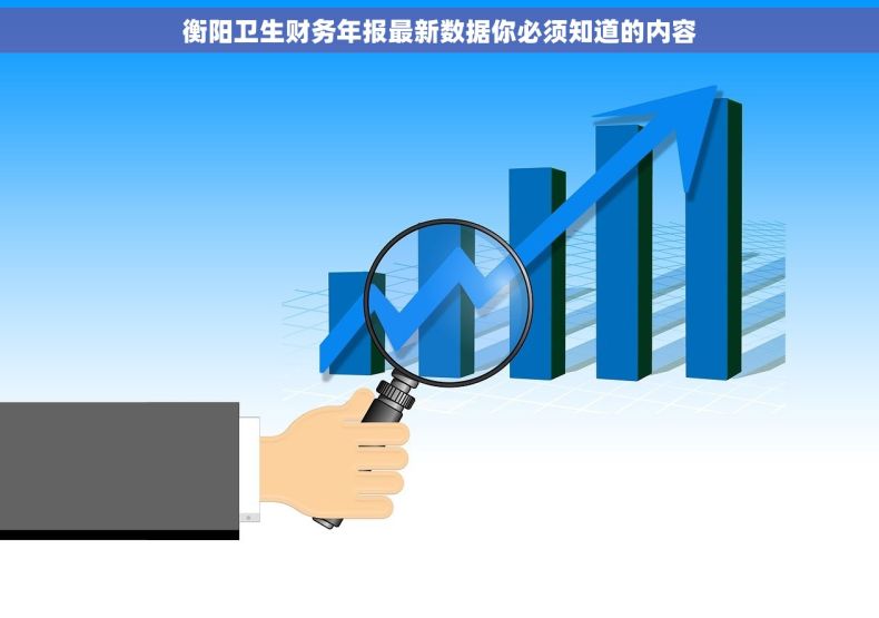 衡阳卫生财务年报最新数据你必须知道的内容