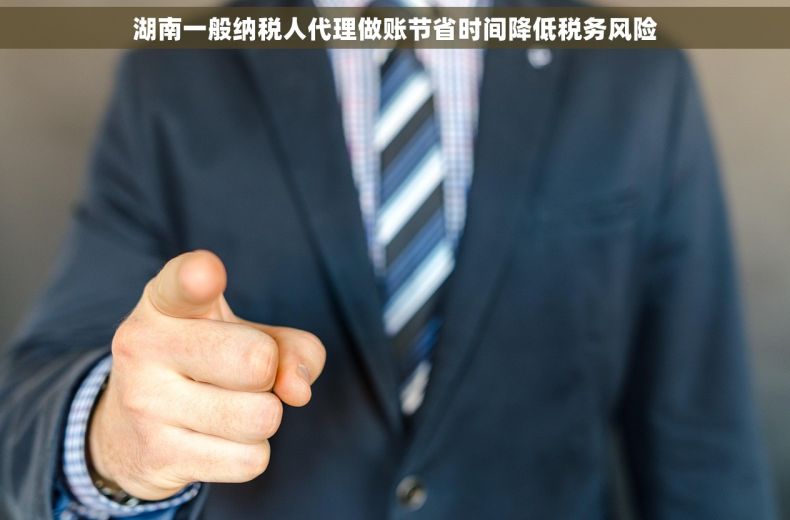 湖南一般纳税人代理做账节省时间降低税务风险