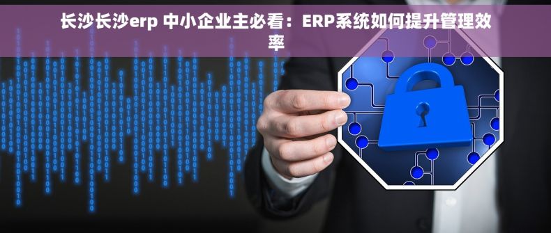 长沙长沙erp 中小企业主必看：ERP系统如何提升管理效率