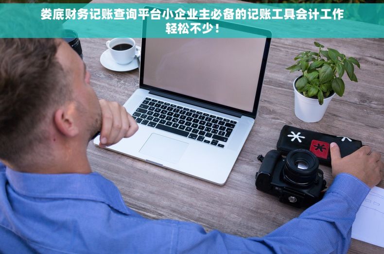 娄底财务记账查询平台小企业主必备的记账工具会计工作轻松不少！