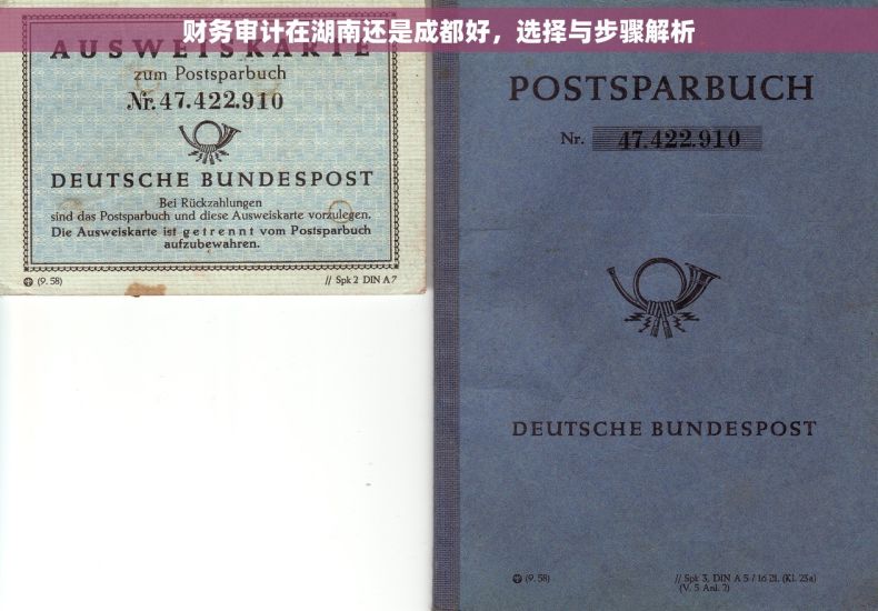 财务审计在湖南还是成都好，选择与步骤解析