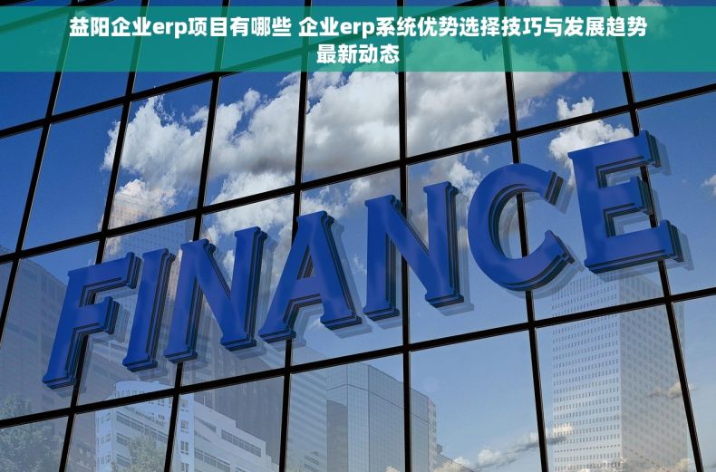 益阳企业erp项目有哪些 企业erp系统优势选择技巧与发展趋势最新动态