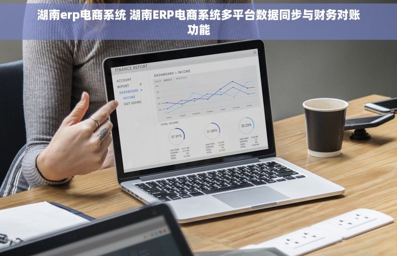 湖南erp电商系统 湖南ERP电商系统多平台数据同步与财务对账功能
