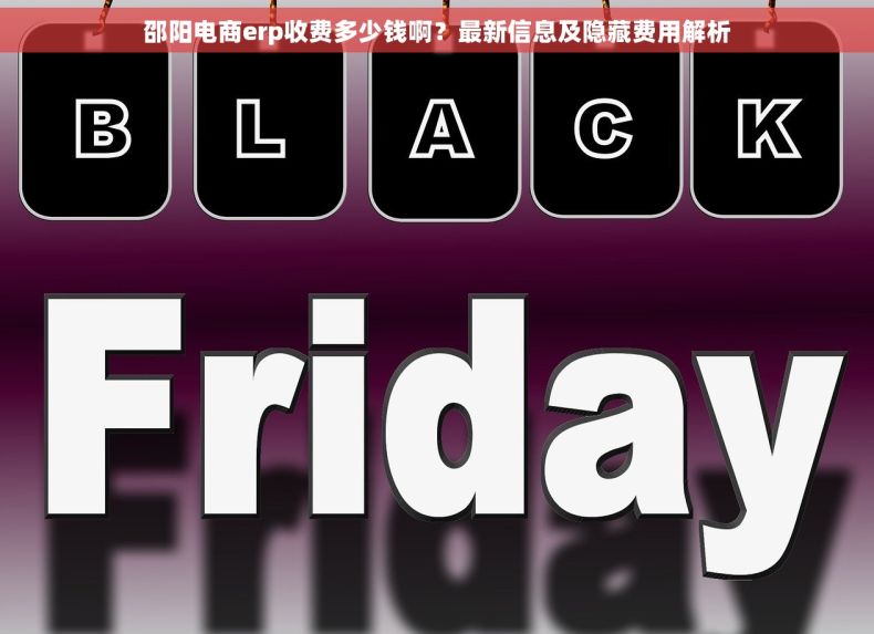 邵阳电商erp收费多少钱啊？最新信息及隐藏费用解析
