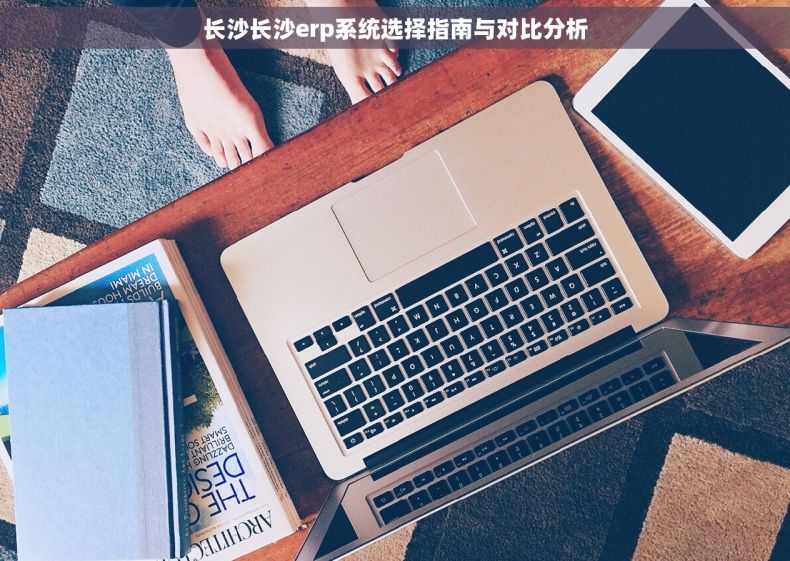 长沙长沙erp系统选择指南与对比分析