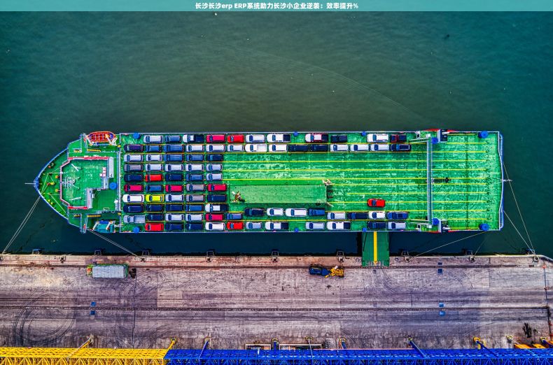 长沙长沙erp ERP系统助力长沙小企业逆袭：效率提升%