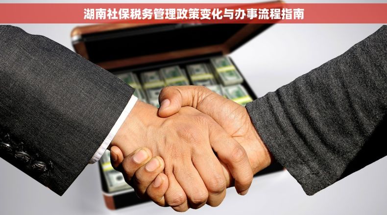 湖南社保税务管理政策变化与办事流程指南