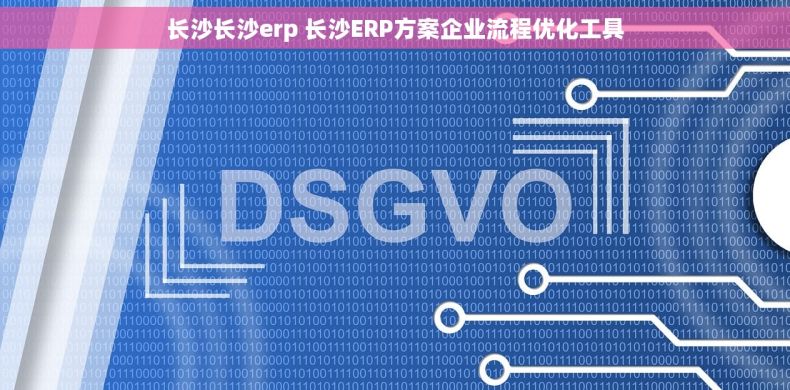 长沙长沙erp 长沙ERP方案企业流程优化工具