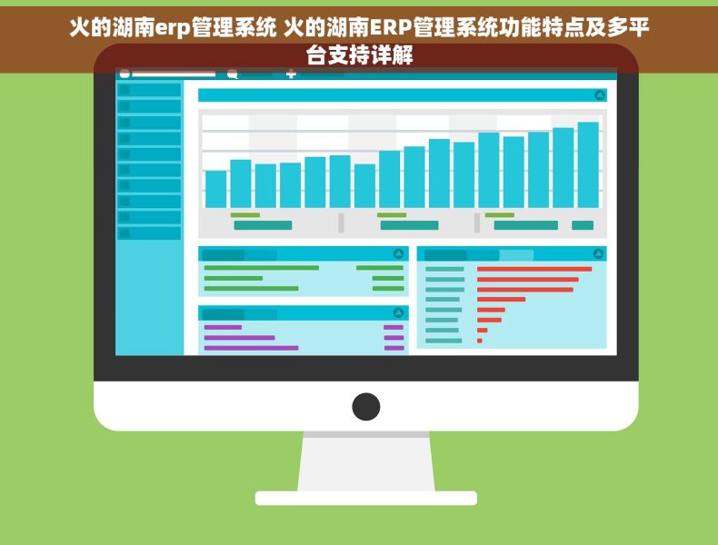 火的湖南erp管理系统 火的湖南ERP管理系统功能特点及多平台支持详解