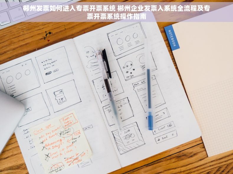 郴州发票如何进入专票开票系统 郴州企业发票入系统全流程及专票开票系统操作指南