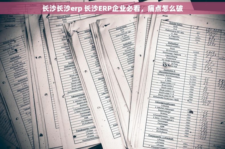 长沙长沙erp 长沙ERP企业必看，痛点怎么破