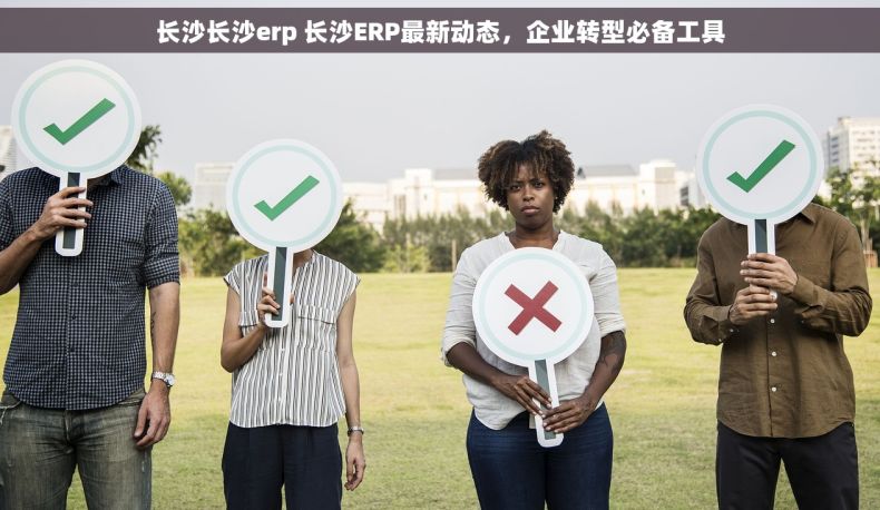 长沙长沙erp 长沙ERP最新动态，企业转型必备工具