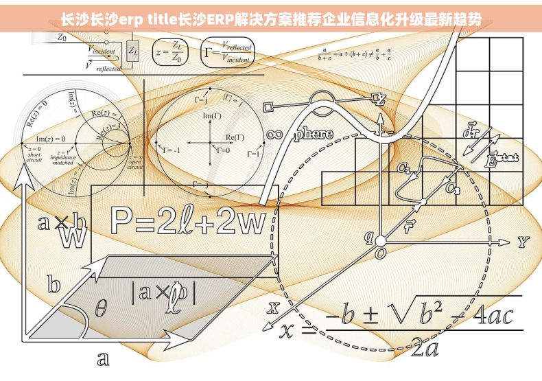长沙长沙erp title长沙ERP解决方案推荐企业信息化升级最新趋势