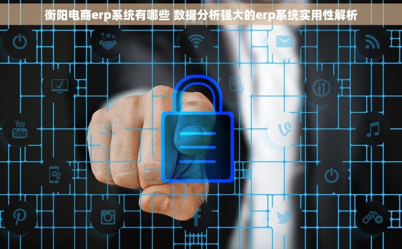 衡阳电商erp系统有哪些 数据分析强大的erp系统实用性解析