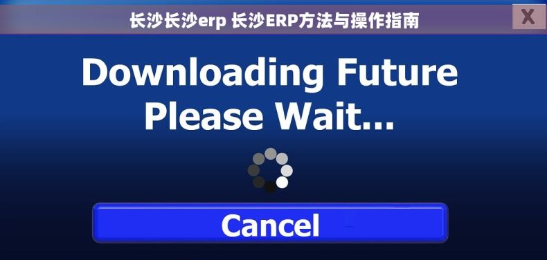 长沙长沙erp 长沙ERP方法与操作指南