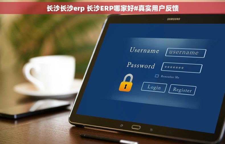 长沙长沙erp 长沙ERP哪家好#真实用户反馈