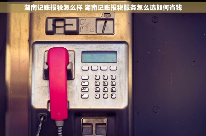 湖南记账报税怎么样 湖南记账报税服务怎么选如何省钱