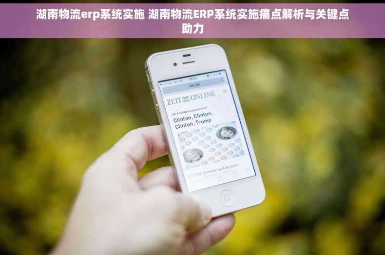 湖南物流erp系统实施 湖南物流ERP系统实施痛点解析与关键点助力