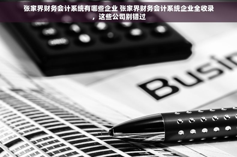 张家界财务会计系统有哪些企业 张家界财务会计系统企业全收录，这些公司别错过