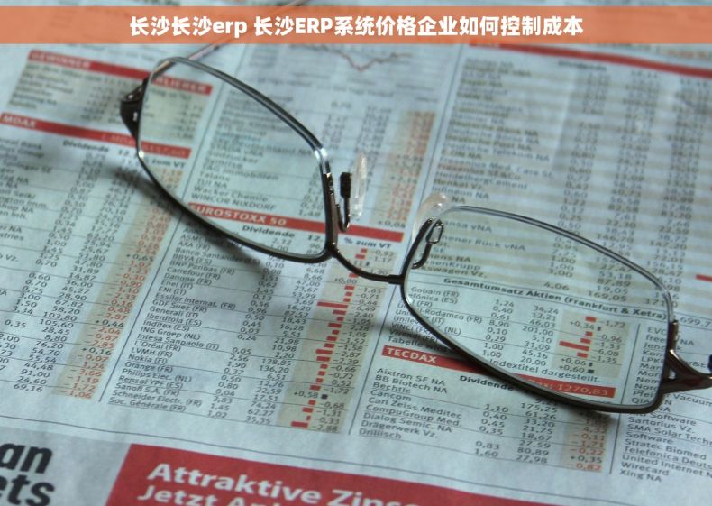 长沙长沙erp 长沙ERP系统价格企业如何控制成本