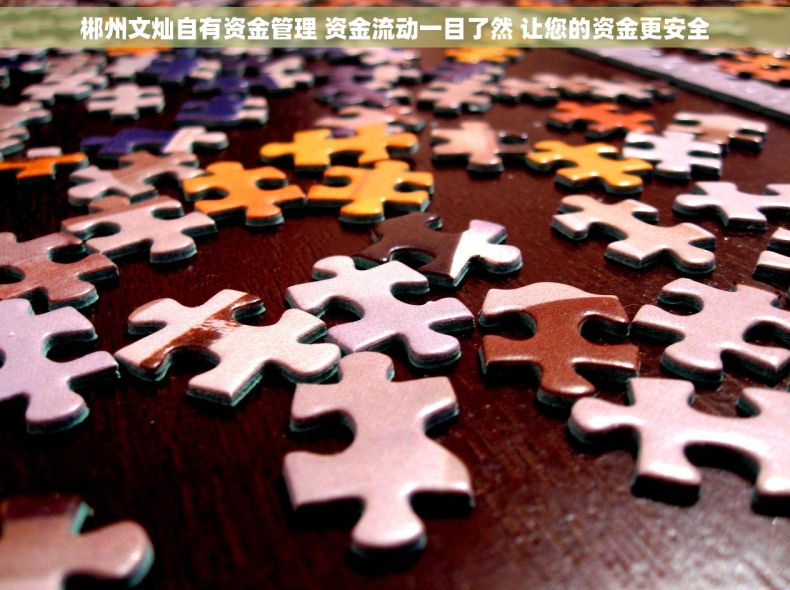 郴州文灿自有资金管理 资金流动一目了然 让您的资金更安全