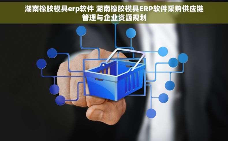 湖南橡胶模具erp软件 湖南橡胶模具ERP软件采购供应链管理与企业资源规划