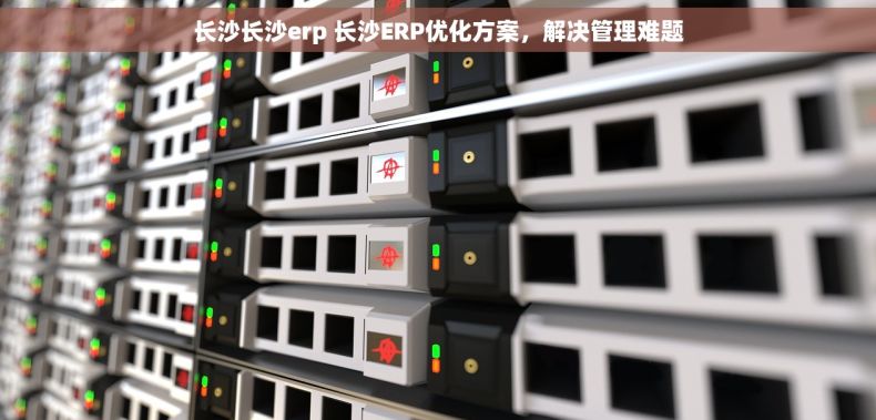 长沙长沙erp 长沙ERP优化方案，解决管理难题