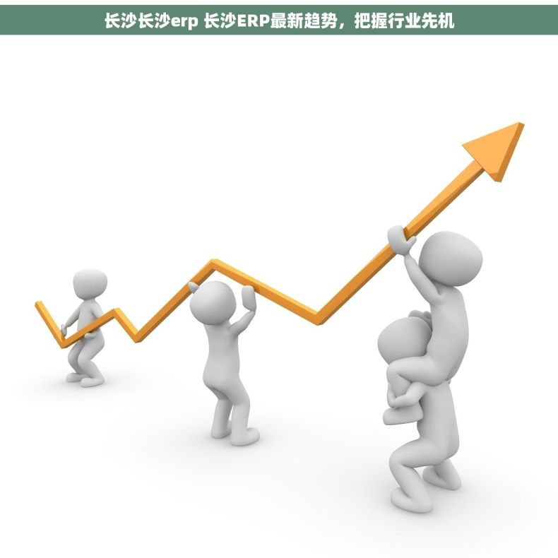 长沙长沙erp 长沙ERP最新趋势，把握行业先机