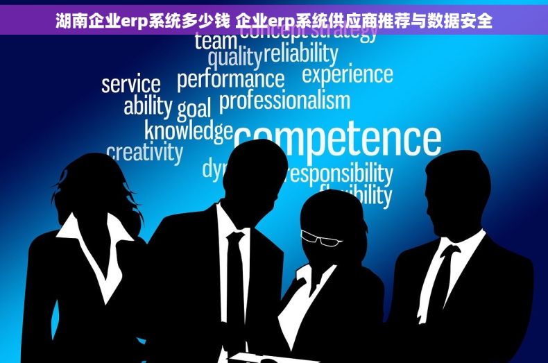 湖南企业erp系统多少钱 企业erp系统供应商推荐与数据安全