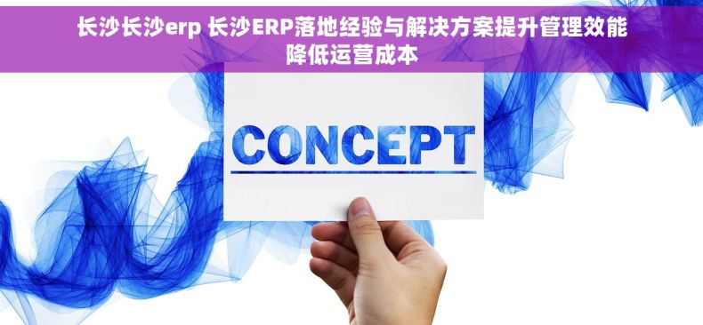 长沙长沙erp 长沙ERP落地经验与解决方案提升管理效能降低运营成本