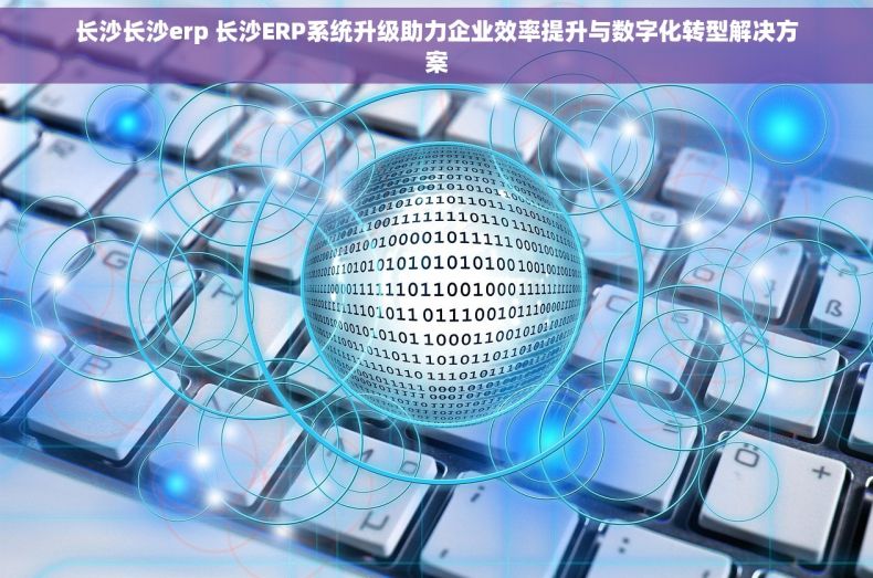 长沙长沙erp 长沙ERP系统升级助力企业效率提升与数字化转型解决方案