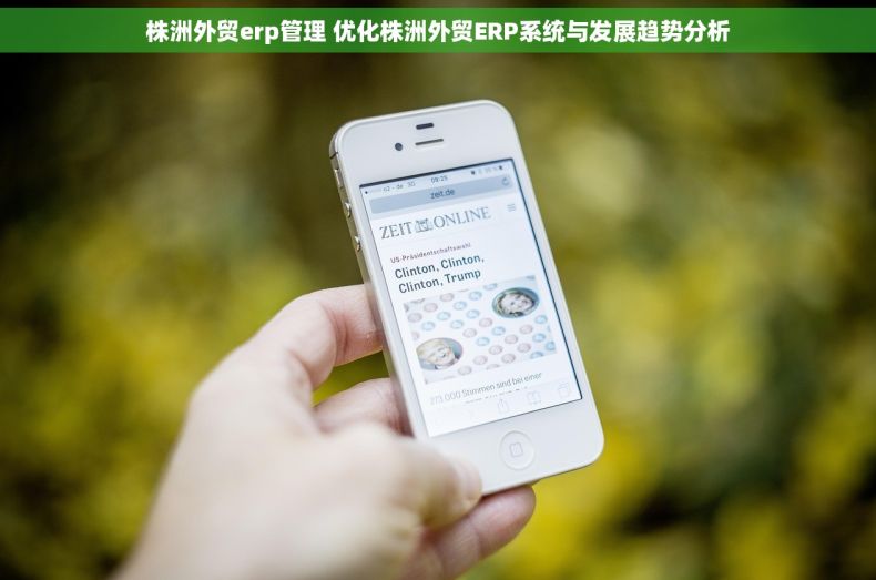 株洲外贸erp管理 优化株洲外贸ERP系统与发展趋势分析