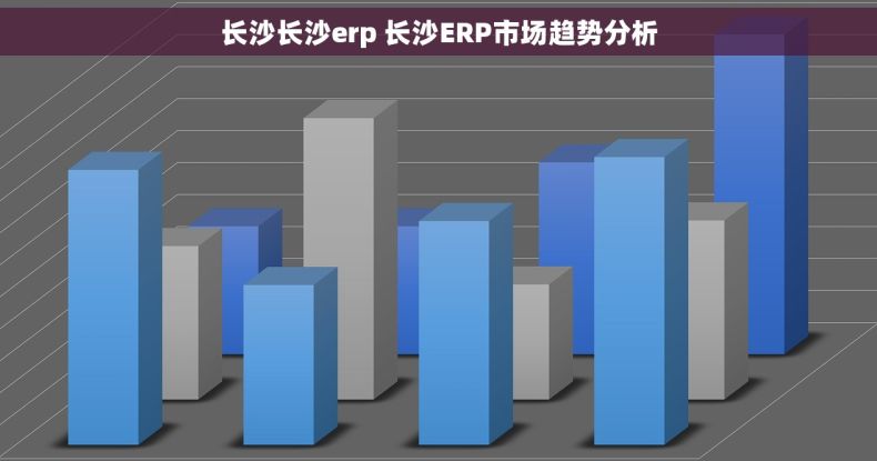 长沙长沙erp 长沙ERP市场趋势分析