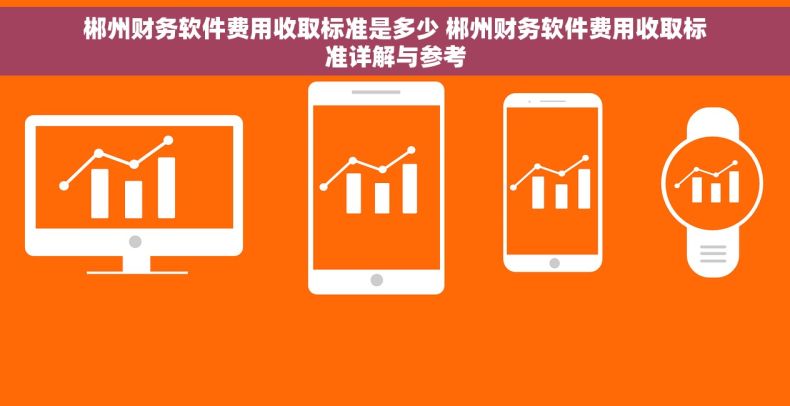 郴州财务软件费用收取标准是多少 郴州财务软件费用收取标准详解与参考