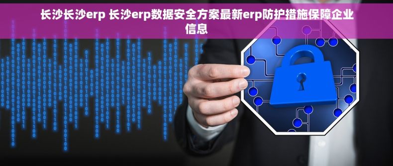 长沙长沙erp 长沙erp数据安全方案最新erp防护措施保障企业信息