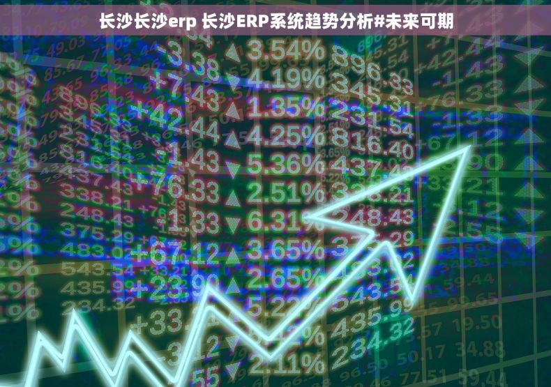 长沙长沙erp 长沙ERP系统趋势分析#未来可期