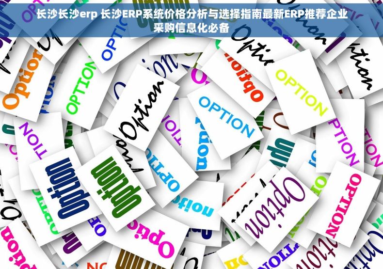 长沙长沙erp 长沙ERP系统价格分析与选择指南最新ERP推荐企业采购信息化必备