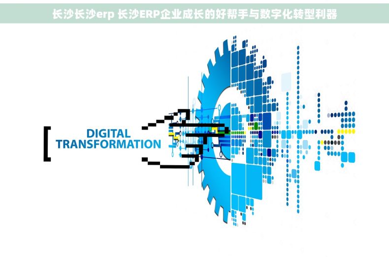 长沙长沙erp 长沙ERP企业成长的好帮手与数字化转型利器