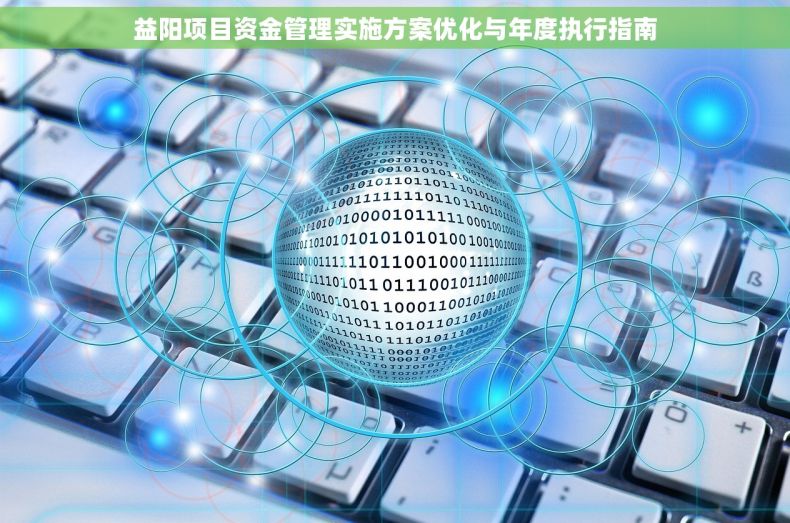 益阳项目资金管理实施方案优化与年度执行指南