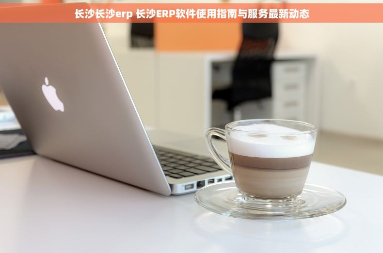 长沙长沙erp 长沙ERP软件使用指南与服务最新动态