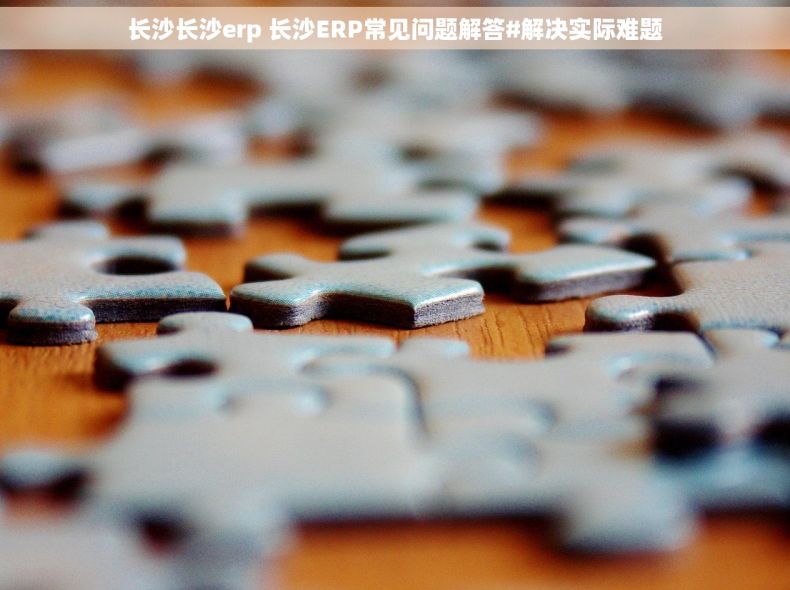 长沙长沙erp 长沙ERP常见问题解答#解决实际难题
